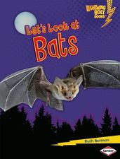 Let s Look at Bats