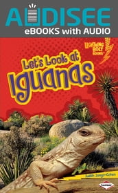 Let s Look at Iguanas