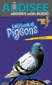 Let s Look at Pigeons
