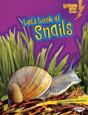 Let s Look at Snails