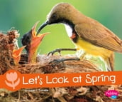 Let s Look at Spring