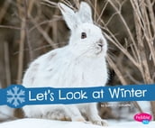 Let s Look at Winter