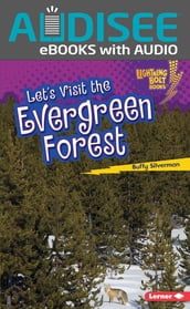 Let s Visit the Evergreen Forest