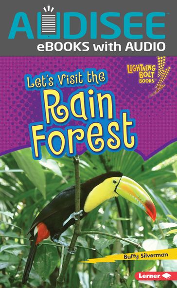 Let's Visit the Rain Forest - Buffy Silverman