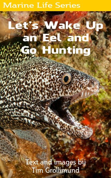 Let's Wake Up an Eel and Go Hunting - Tim Grollimund