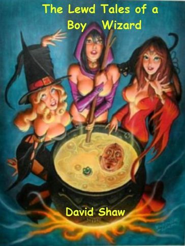 Lewd Tales of a Boy Wizard - David Shaw