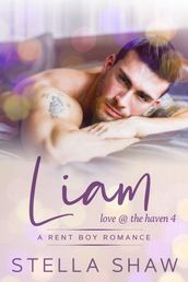 Liam, Love at the Haven 4