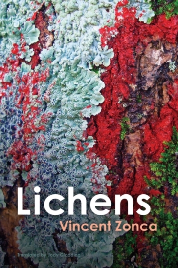 Lichens - Vincent Zonca