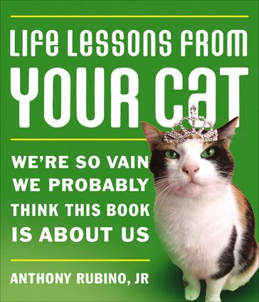 Life Lessons from Your Cat - Anthony Rubino Jr
