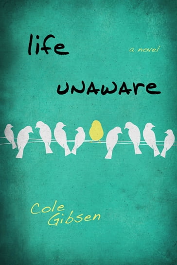 Life Unaware - Cole Gibsen