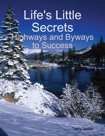 Life's Little Secrets: Highways and Byways to Success - Terry Nettle