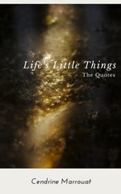 Life s Little Things: The Quotes