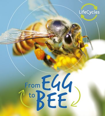 Lifecycles: Egg to Bee - Camilla de la Bedoyere