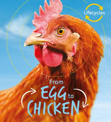 Lifecycles: Egg to Chicken - Camilla de la Bedoyere