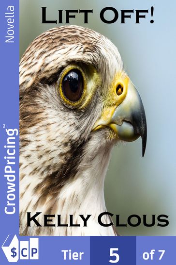 Lift Off !: Falcon Edition, Book One of the Fire and Flight Series - Kelly Clous