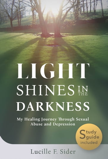 Light Shines in the Darkness - Amy Morgan - Arbutus Lichti Sider - Lucille F. Sider - Ronald J. Sider