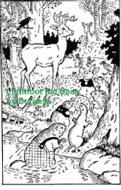 Lightfoot the Deer, Illustrated