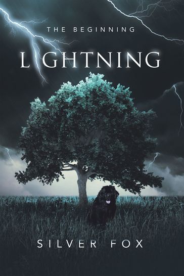 Lightning - SILVER FOX