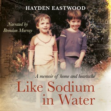 Like Sodium in Water - Hayden Eastwood