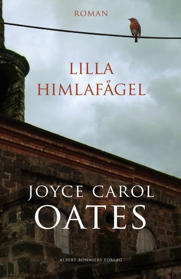 Lilla himlafagel - Joyce Carol Oates - Jojo Form AB