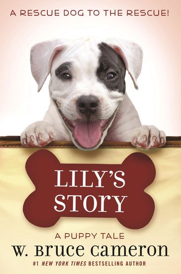 Lily's Story - W. Bruce Cameron