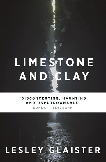 Limestone and Clay - Lesley Glaister