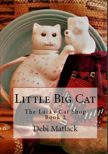 Little Big Cat - Debi Matlack