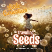 Little Curiosities(Part 2): Travelling Seeds