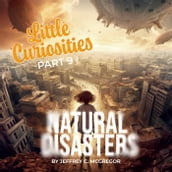 Little Curiosities(Part 9): Natural Disasters