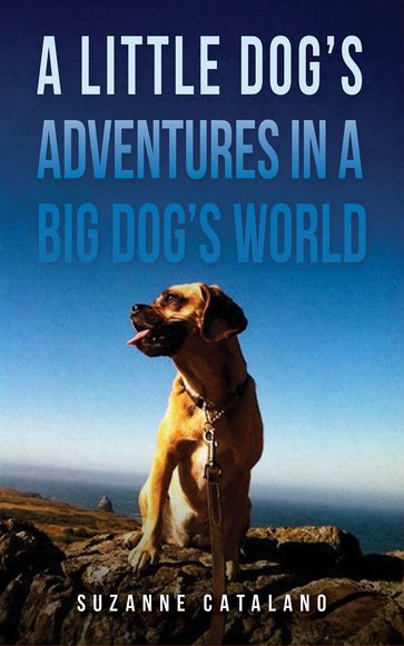 A Little Dog's Adventures in a Big Dog's World - Suzanne Catalano