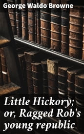 Little Hickory; or, Ragged Rob s young republic