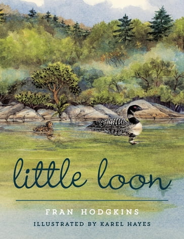 Little Loon - Fran Hodgkins