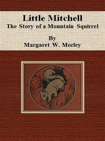 Little Mitchell: The Story of a Mountain Squirrel - Margaret W. Morley