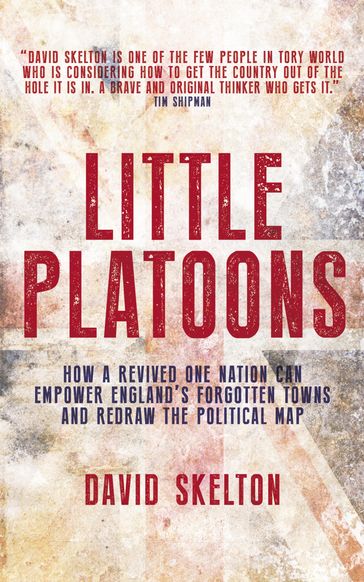 Little Platoons - David Skelton