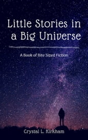 Little Stories in a Big Universe