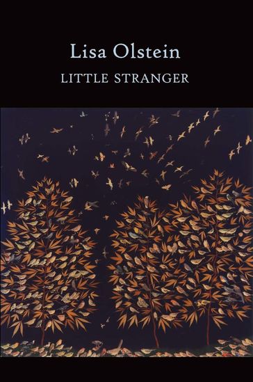 Little Stranger - Lisa Olstein