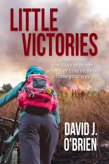 Little Victories - David J. O