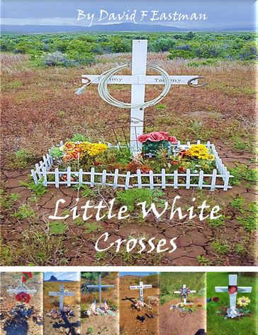 Little White Crosses - David F Eastman