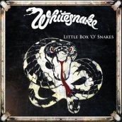 Little box o snakes: the sunburst years