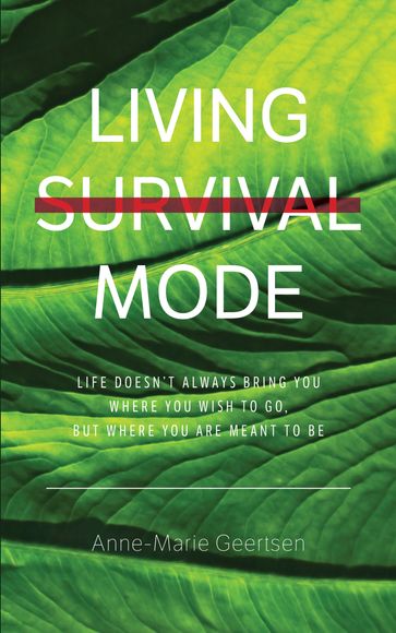 Living Survival Mode - Anne-Marie Geertsen