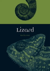 Lizard