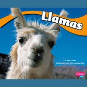 Llamas