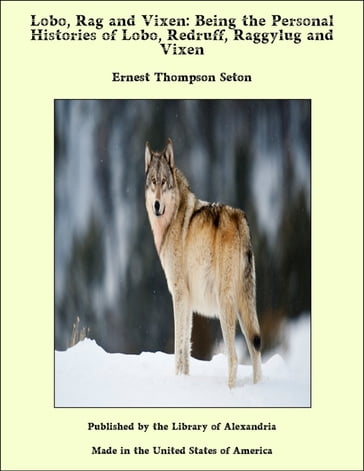 Lobo, Rag and Vixen: Being the Personal Histories of Lobo, Redruff, Raggylug and Vixen - Ernest Thompson Seton