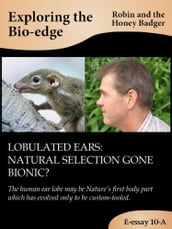 Lobulated ears: natural selection gone bionic?