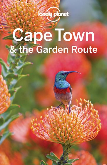 Lonely Planet Cape Town & the Garden Route - Simon Richmond - James Bainbridge - Jean-Bernard Carillet - Lucy Corne