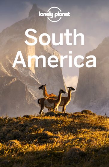 Lonely Planet South America - Regis St Louis