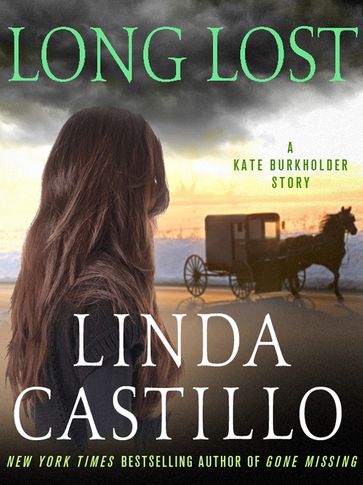 Long Lost - Linda Castillo
