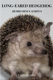 Long-eared hedgehog