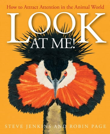 Look at Me! - Robin Page