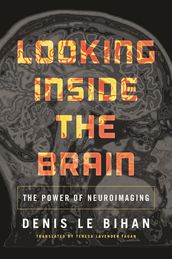 Looking Inside the Brain